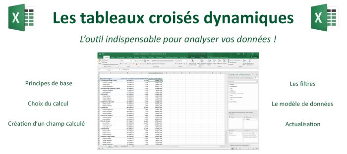 Excel : les tableaux croisés dynamiques (compatible versions 2016-2024)